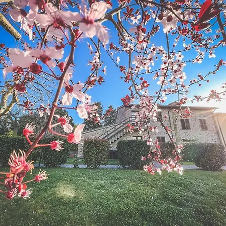 Agriturismo Tenuta Badia Paciano